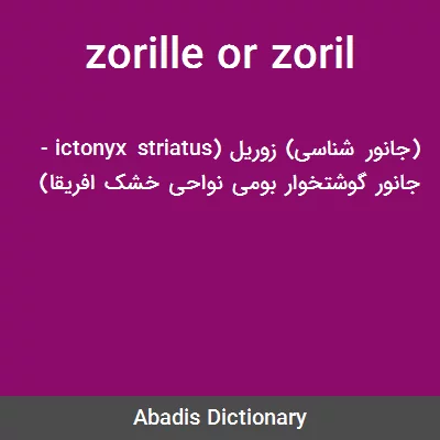 معنی zorille or zoril